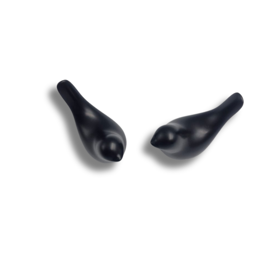 Black Bird Ornaments (2pcs)